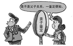 青海在哪里有正规DNA鉴定中心，青海正规的DNA亲子鉴定收费情况