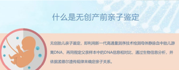 青海怀孕几个月如何鉴定孩子是谁的,青海产前亲子鉴定价格