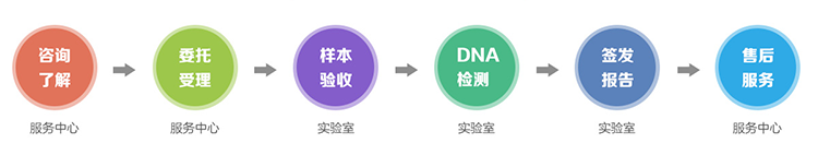 青海隐私亲子鉴定流程